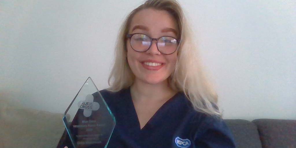 Nominations open for Blue Cross vet nurse award